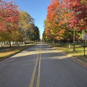 My-Glide Airport Ride